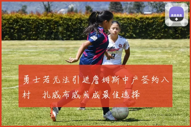 勇士若无法引进詹姆斯中产签约八村塁扎威布威或成最佳选择